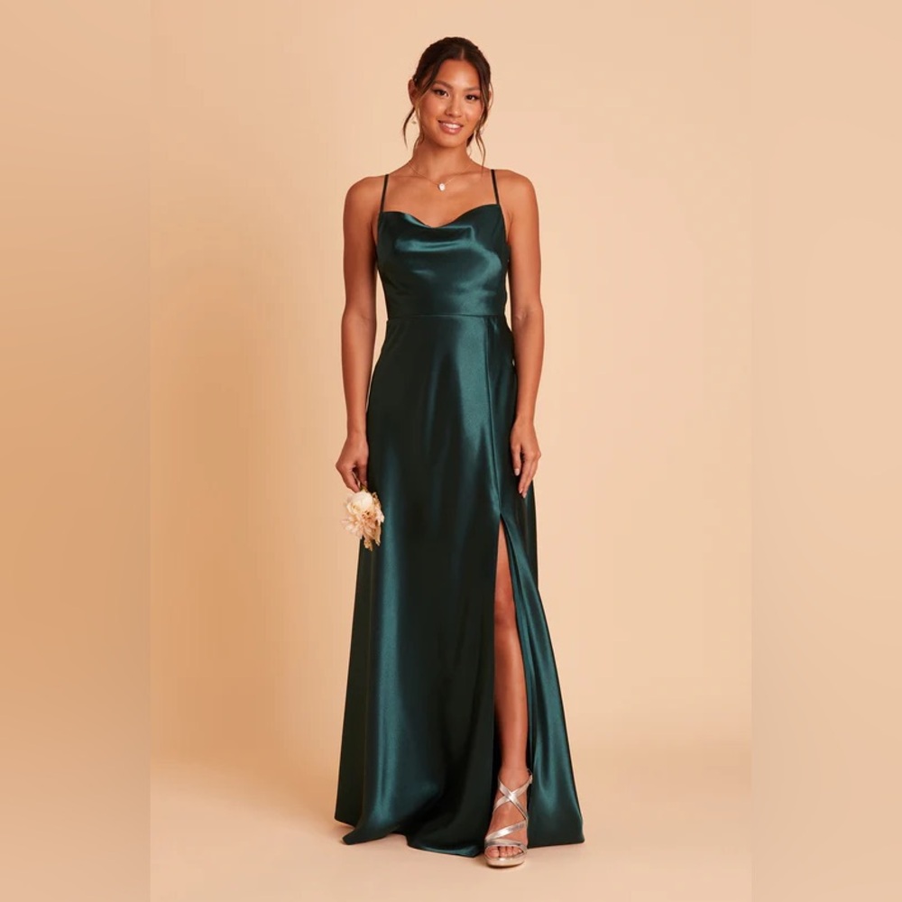 Birdy Grey Lisa Long Bridesmaid Dress